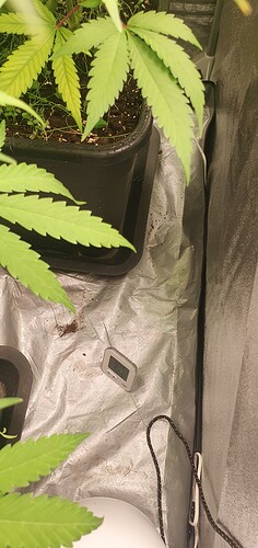 Growreport Bild 8