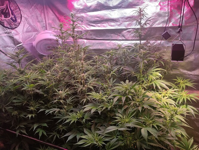 Growreport Bild 18