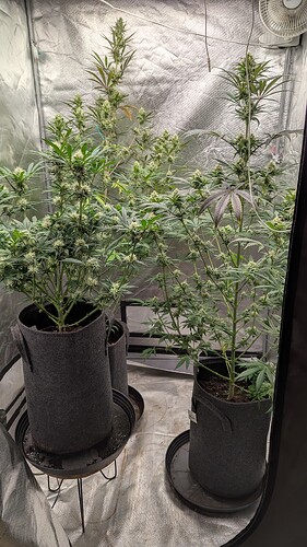 Growreport Bild 11