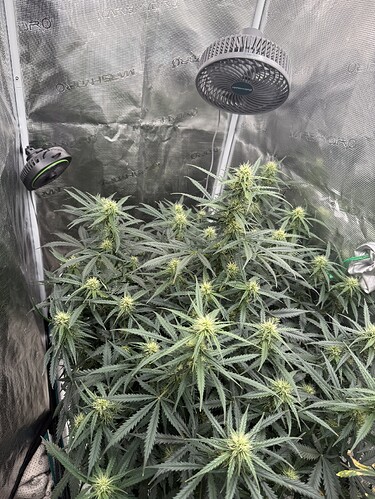 Growreport Bild 5
