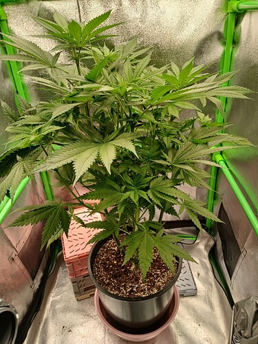 Growreport Bild 9
