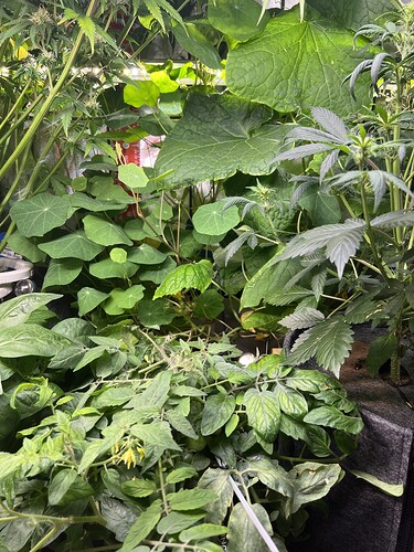 Growreport Bild 13