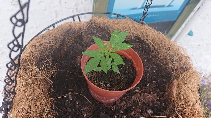 Growreport Bild 11