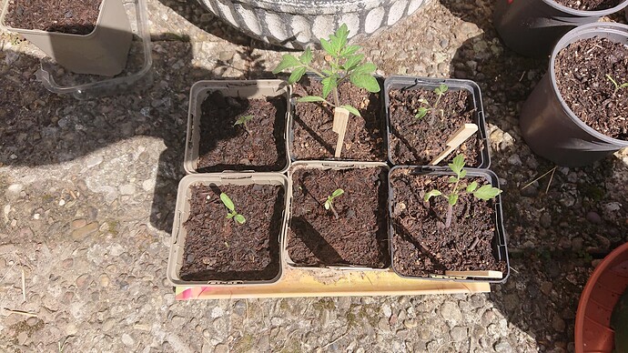 Growreport Bild 28