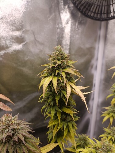 Growreport Bild 16