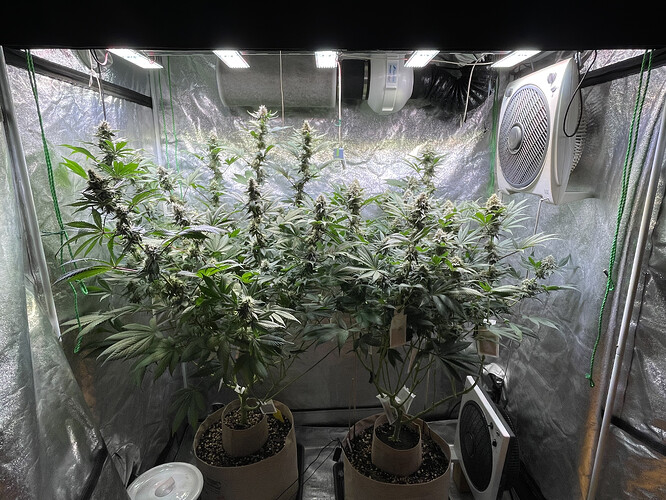 Growreport Bild 1