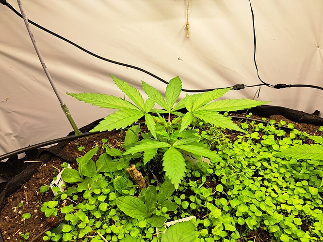 Growreport Bild 9