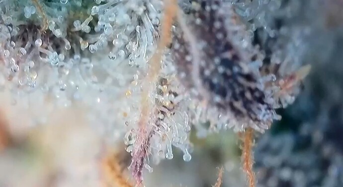 Growreport Bild 16
