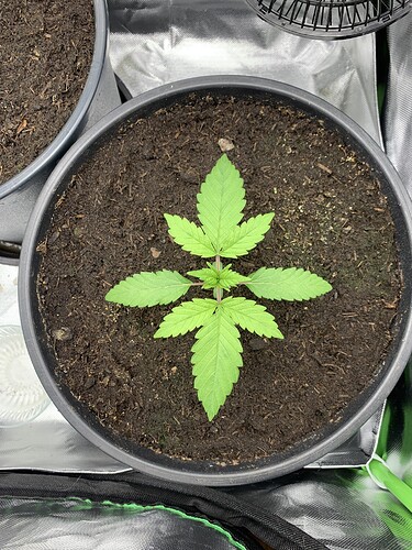 Growreport Bild 14