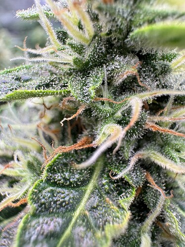 Growreport Bild 8