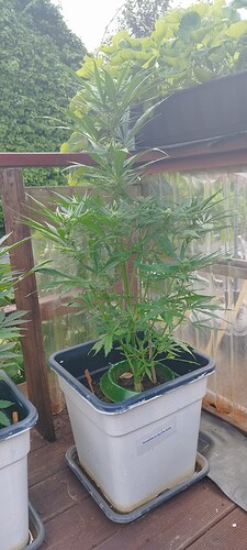 Growreport Bild 23