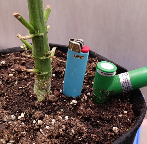 Growreport Bild 2