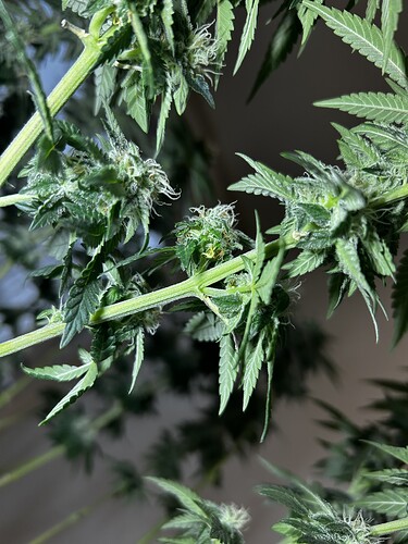 Growreport Bild 8