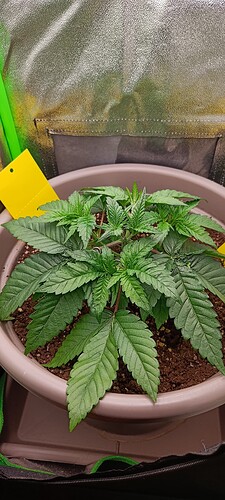 Growreport Bild 9