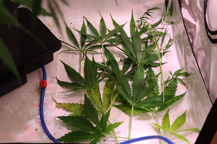 Growreport Bild 12