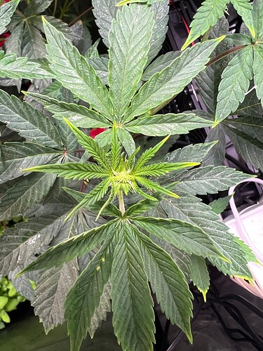 Growreport Bild 13