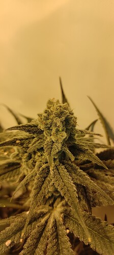 IMG_20240609_092600