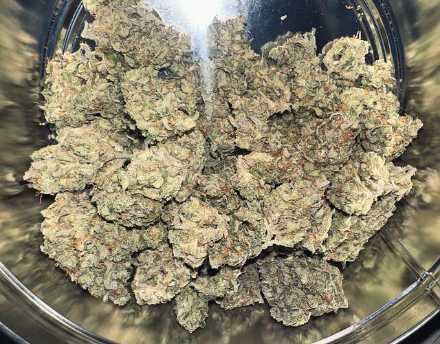 Growreport Bild 63