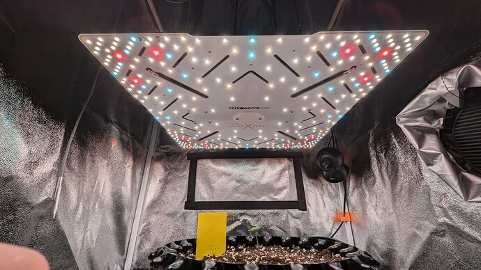 PXL_20240702_064037381.MP