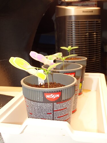 Growreport Bild 12
