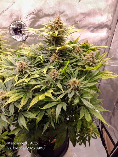 Growreport Bild 26