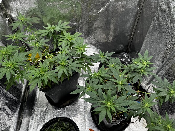 20240630_095743086_iOS