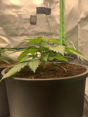 Growreport Bild 10