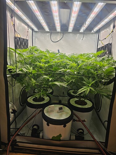 Growreport Bild 8
