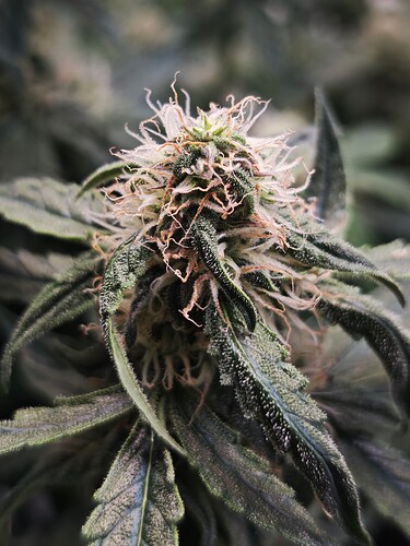 MVIMG_20251105_164821