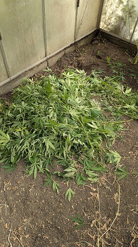 Growreport Bild 16