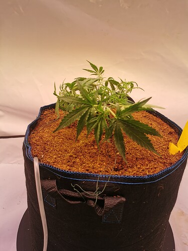 Growreport Bild 2