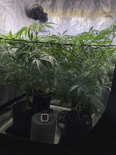 Growreport Bild 42