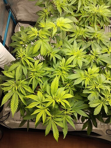 Growreport Bild 18