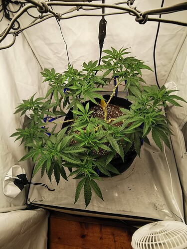 Growreport Bild 3