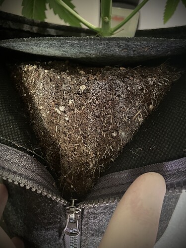 Growreport Bild 5