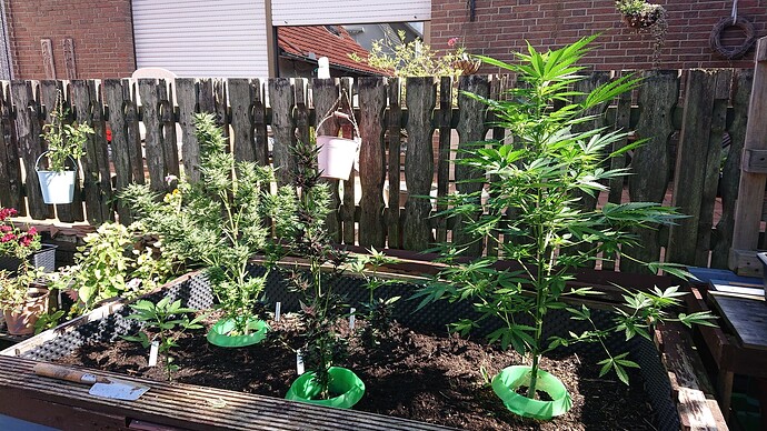 Growreport Bild 8