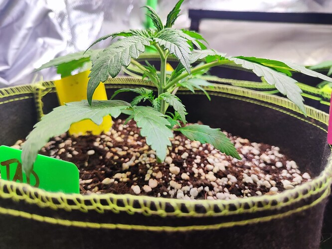 Growreport Bild 4