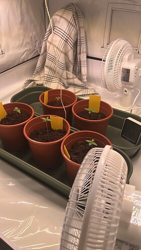 F9CB4046-849B-4810-AFBE-7C49C7A59C7E