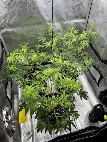Growreport Bild 8