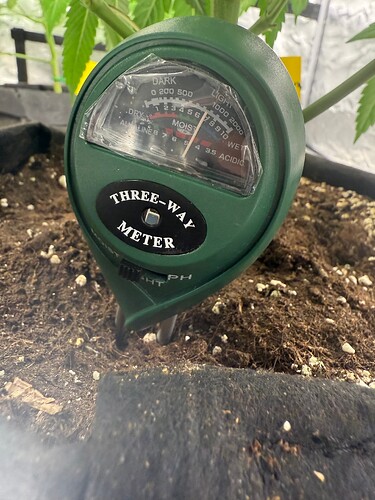 Growreport Bild 3