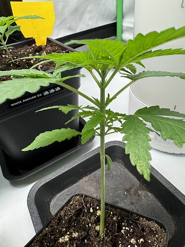 Growreport Bild 8