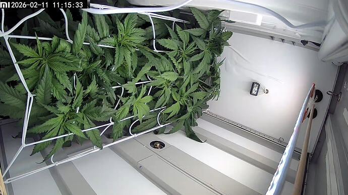 PIC_20260211_111157656