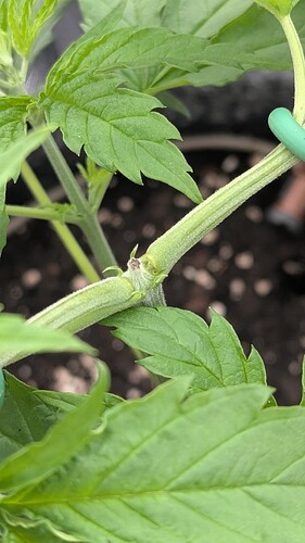 PXL_20250815_094922024