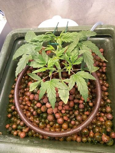 Growreport Bild 10