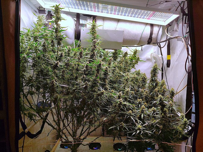 Growreport Bild 16