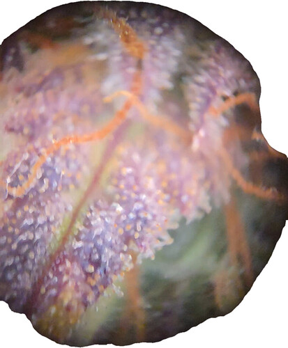 20260325_163149(4)