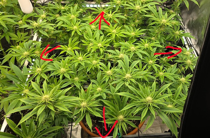 Growreport Bild 11