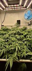 Growreport Bild 3