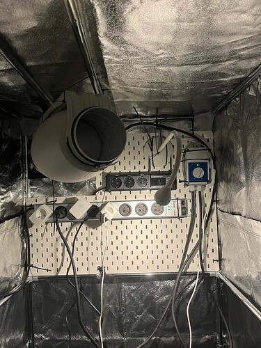Elektro ohne Innenzelt