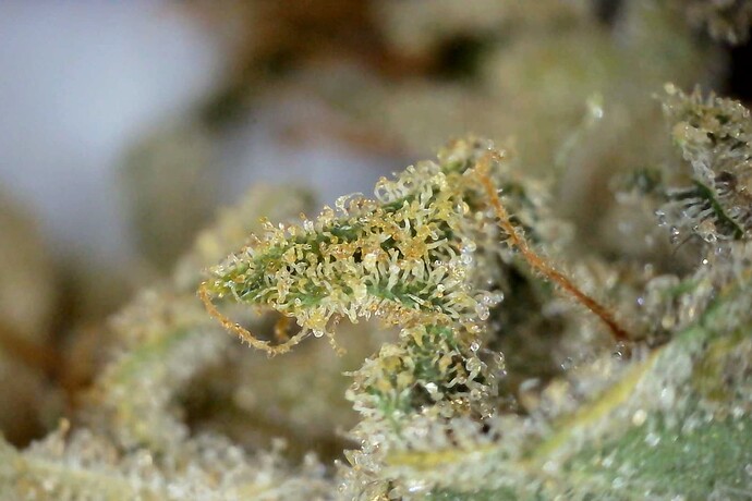 Foto am 13.02.24 um 20.02